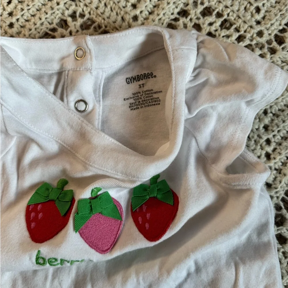 Vintage Gymboree Mix Of Size 3T Clothes Cute 3-D Details Adorable Shirt